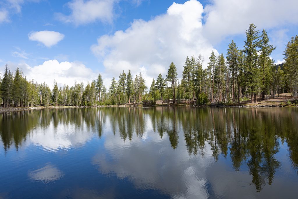 Reflection Lake Trail, Lassen Volcanic National Park