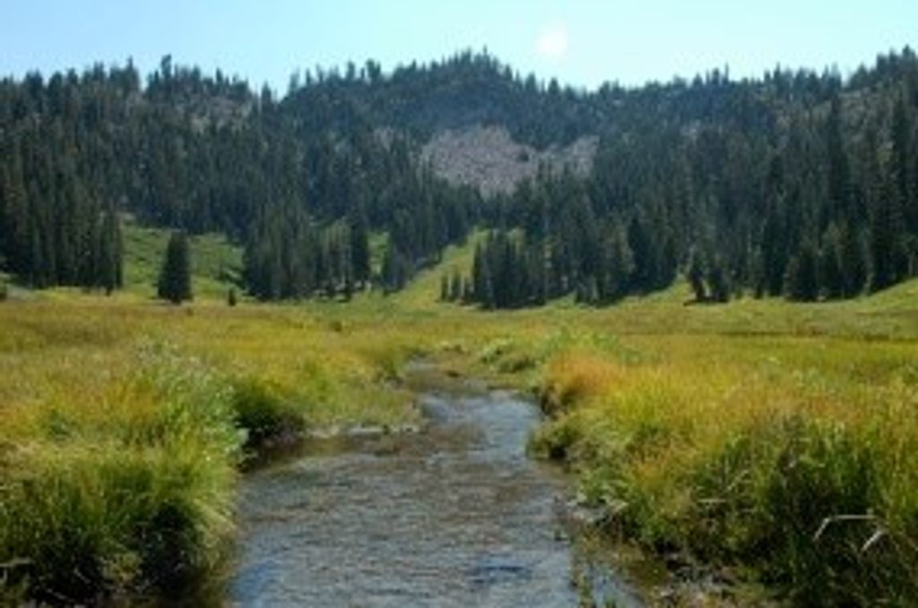 Paradise Meadows Trail, Lassen Volcanic National Park