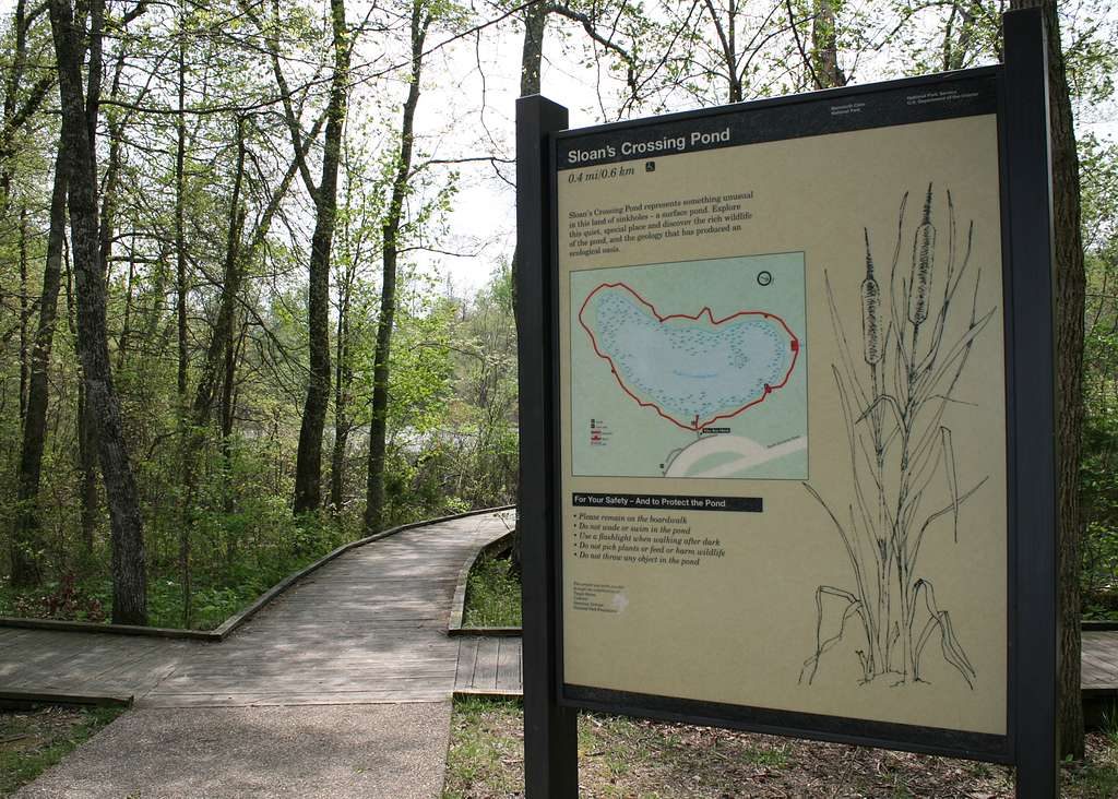 Sloans Crossing Pond Walk, Mammoth Cave National Park