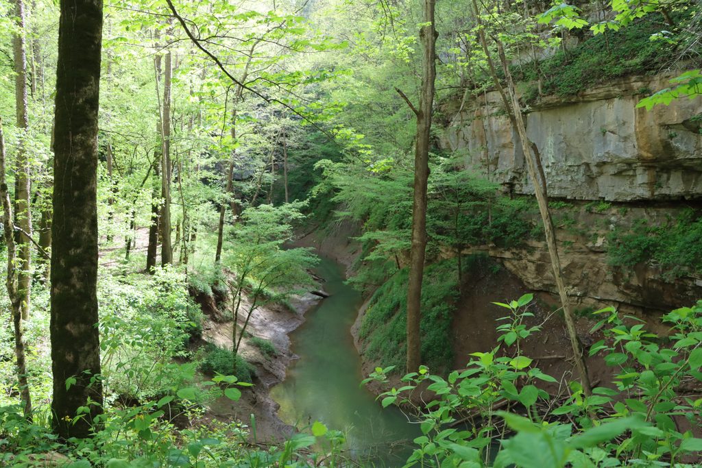 Cedar Sink Trail, Mammoth Cave National Park