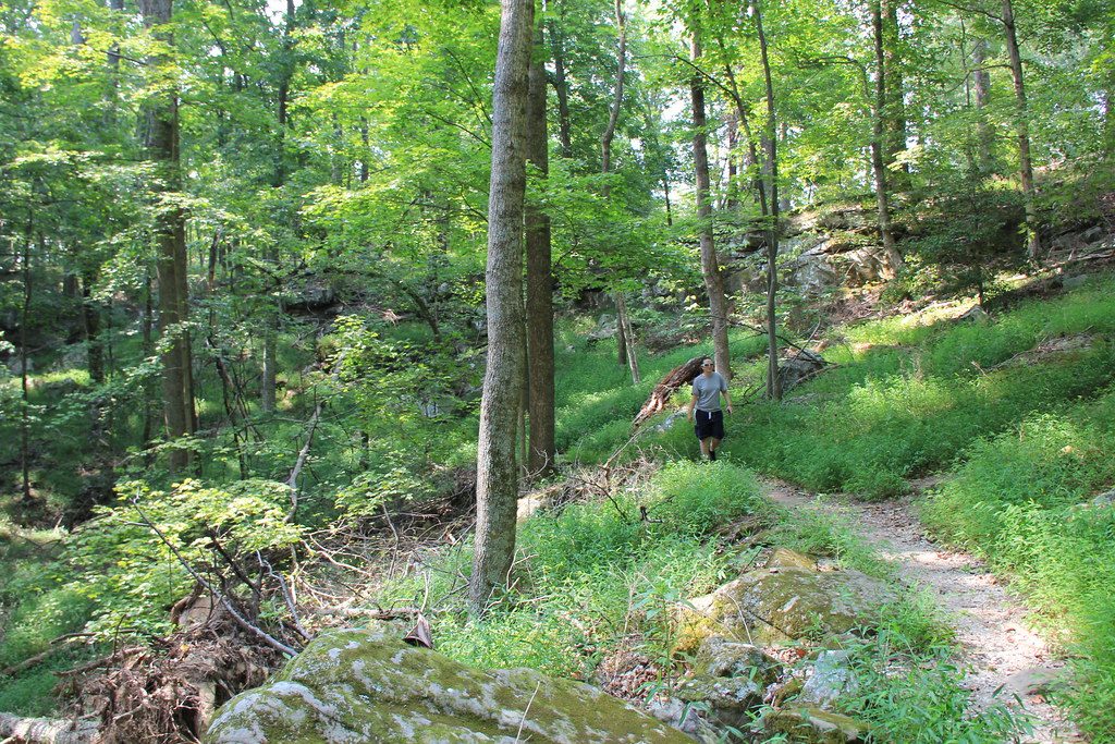 Mammoth Dome Sink Trail, Mammoth Cave National Park
