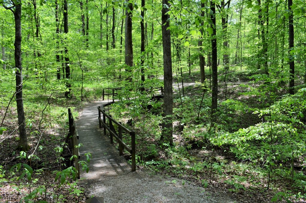 Echo River Spring Trail, Mammoth Cave National Park