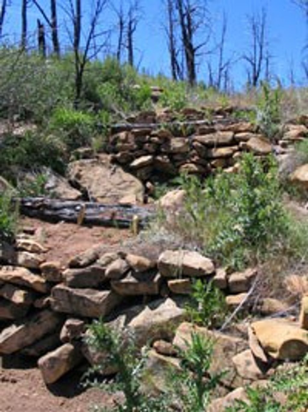 Farming Terrace Trail, Mesa Verde National Park
