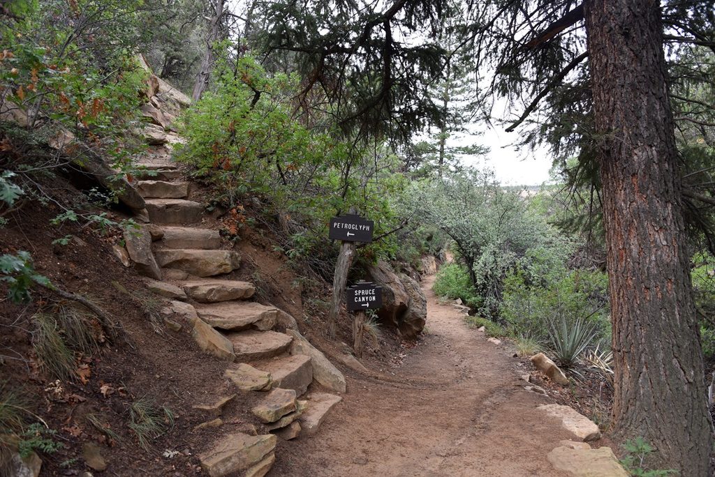Spruce Canyon Trail, Mesa Verde National Park