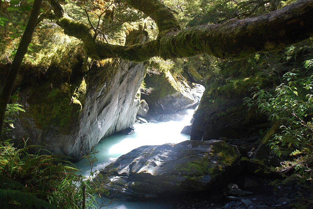 Rob Roy Glacier Track, Mount Aspiring National Park