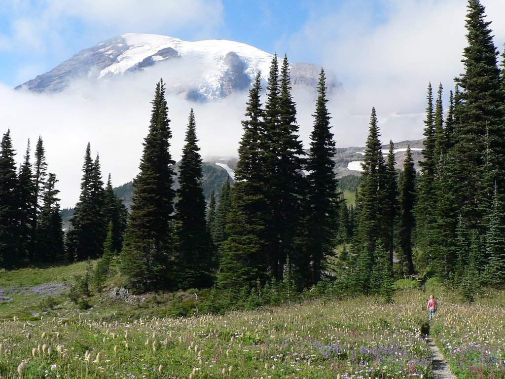 Lakes Trail, Mount Rainier National Park