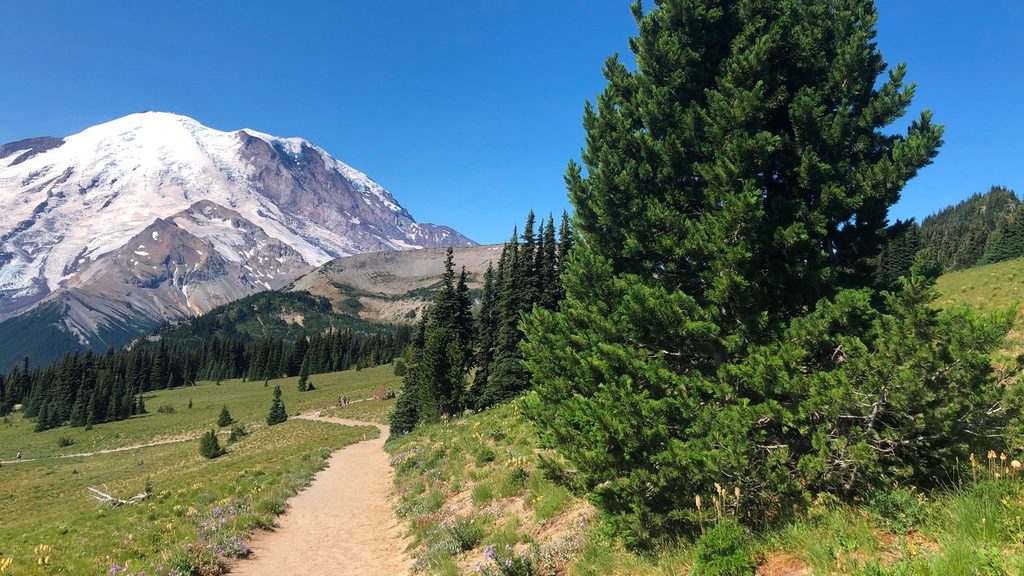Sunrise Nature Trail, Mount Rainier National Park