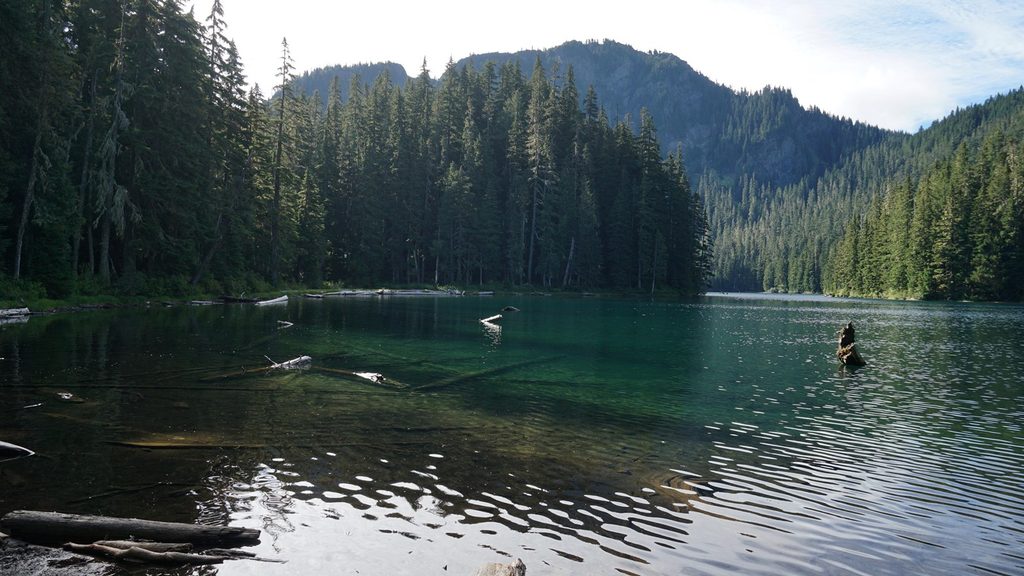 Lake George Trail, Mount Rainier National Park