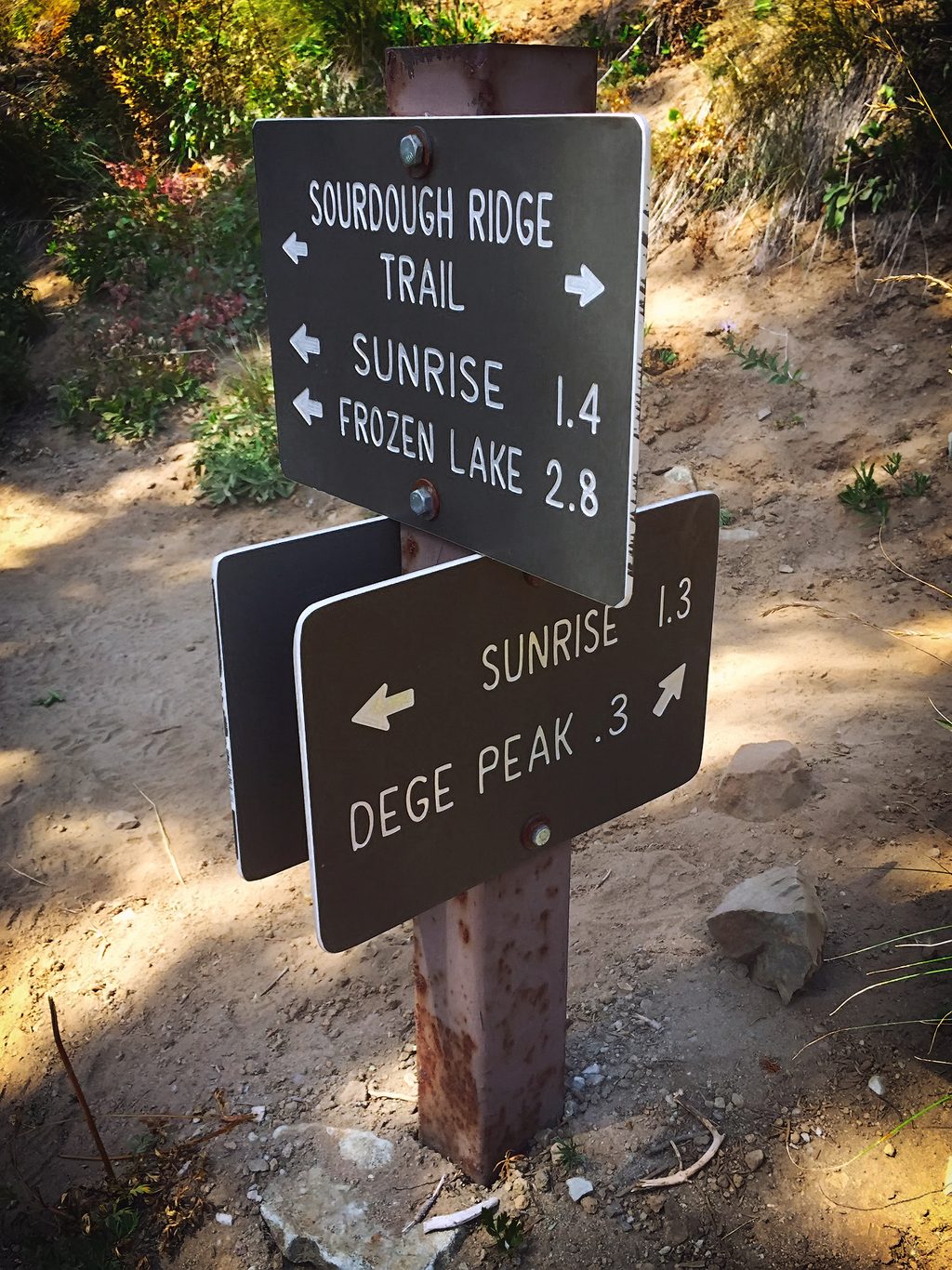Dege Peak Trail, Mount Rainier National Park
