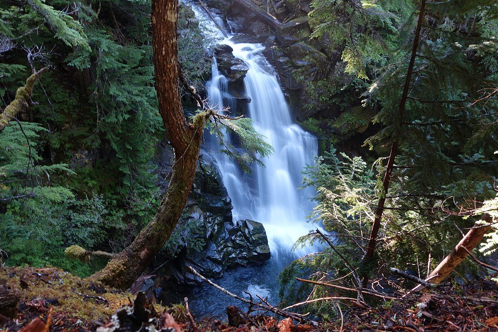 Carter Falls Trail, Mount Rainier National Park
