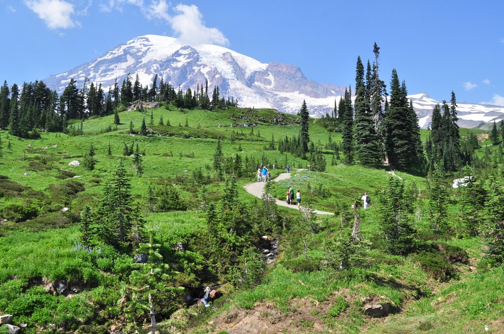 Deadhorse Creek Trail, Mount Rainier National Park