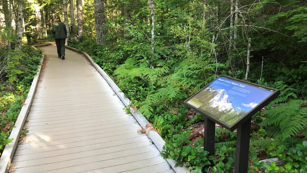 Kautz Creek Trail, Mount Rainier National Park