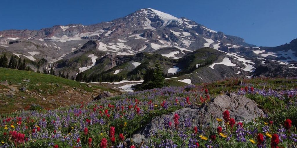Van Trump Park Trail, Mount Rainier National Park