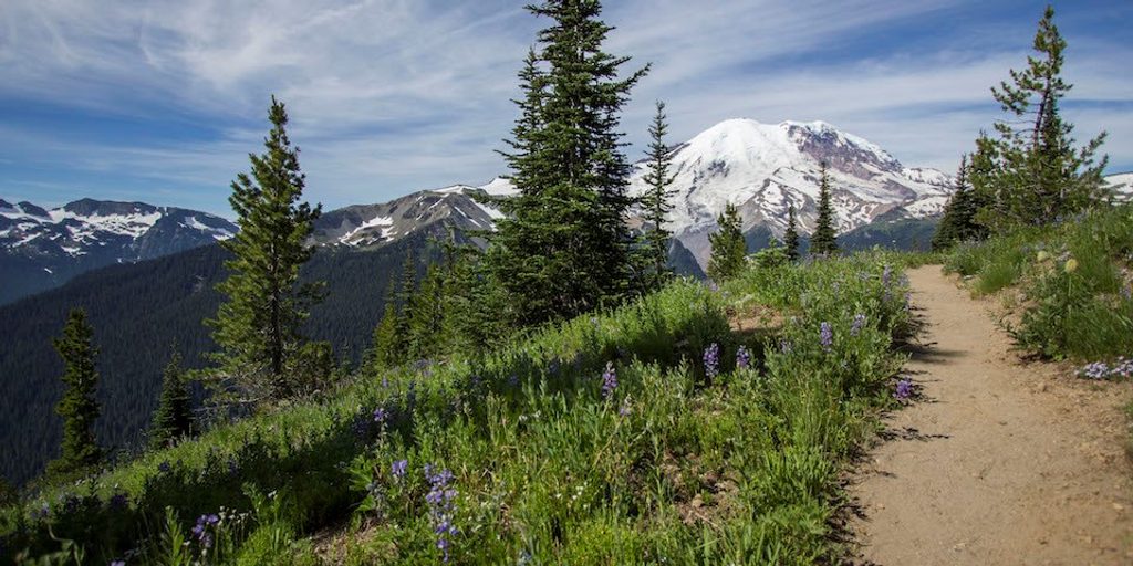 Silver Forest Trail, Mount Rainier National Park