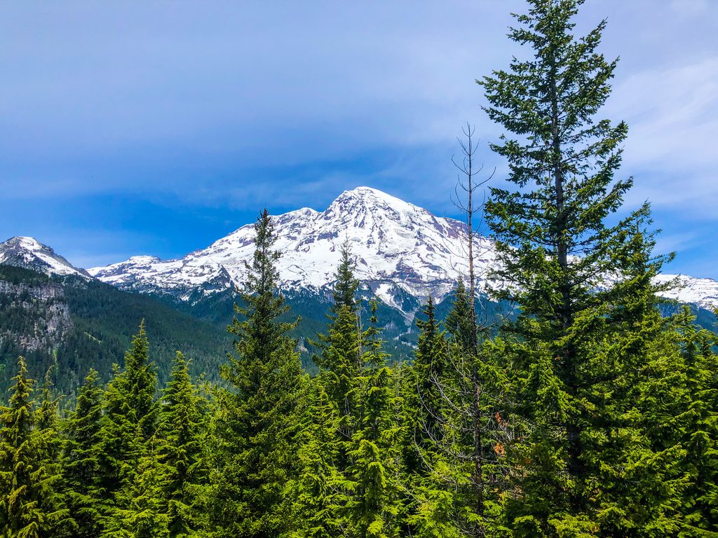 Rampart Ridge Trail, Mount Rainier National Park