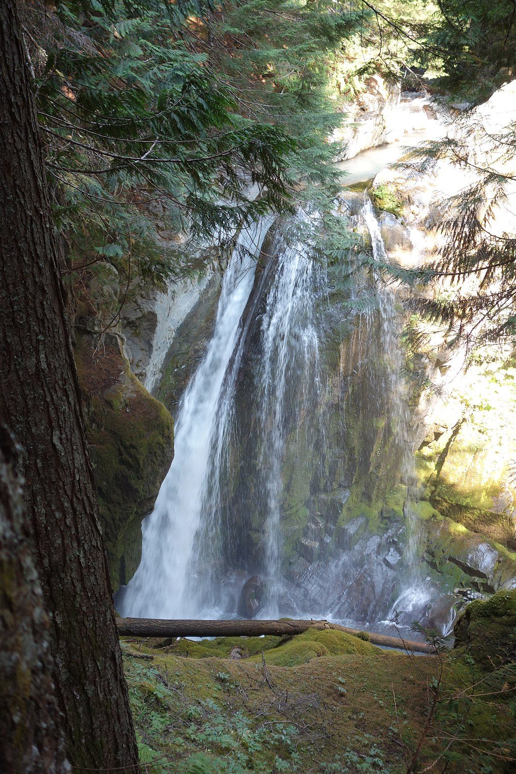 Stevens Canyon Trail, Mount Rainier National Park