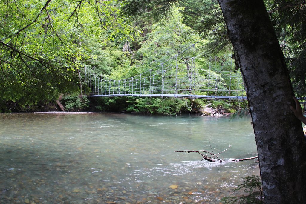 Grove of the Patriarchs Trail, Mount Rainier National Park
