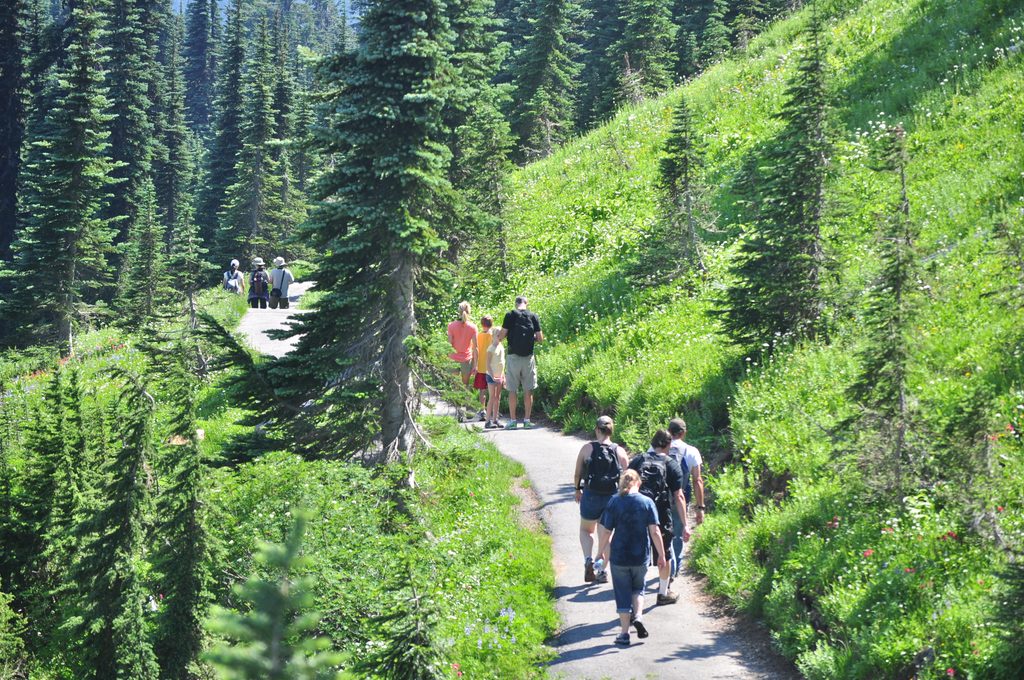 Moraine Trail, Mount Rainier National Park