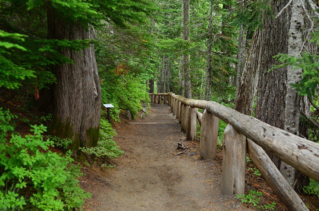 Narada Falls Trail, Mount Rainier National Park