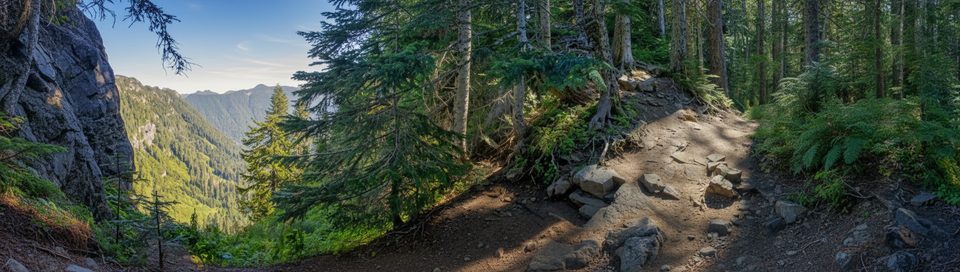 Ipsut Pass Trail, Mount Rainier National Park