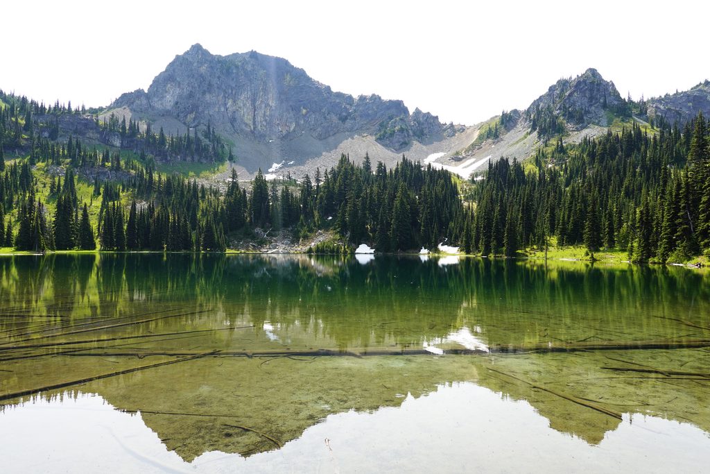 Crystal Lakes Trail, Mount Rainier National Park