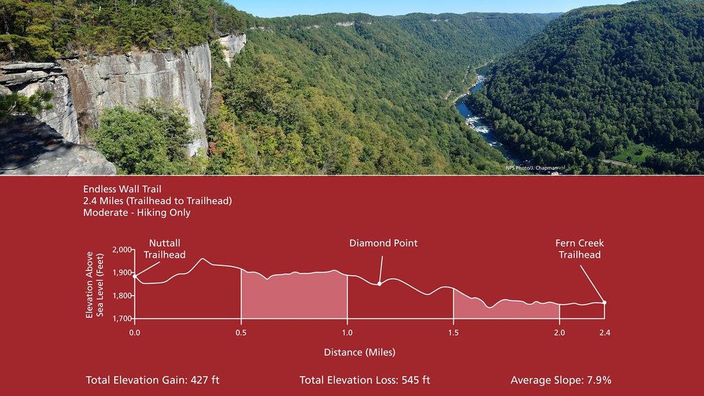 Endless Wall Trail, New River Gorge National Park