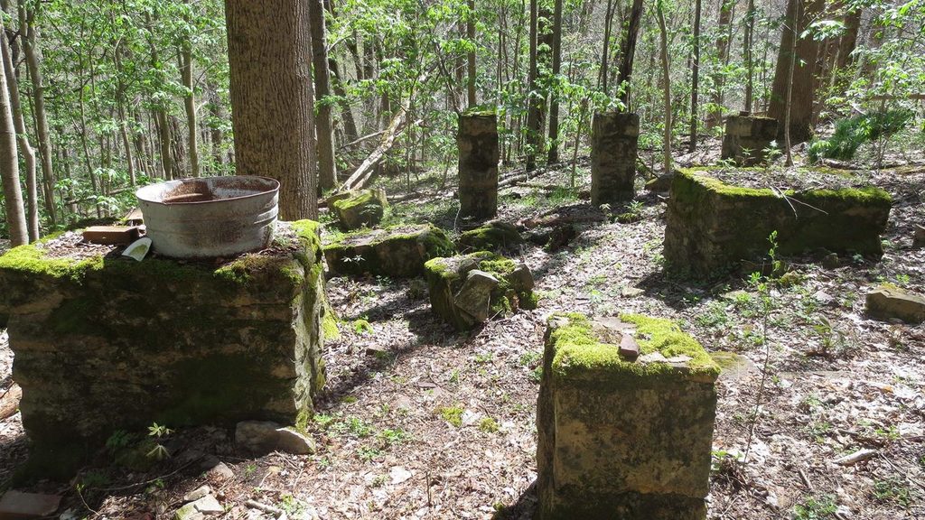 Seldom Seen Trail, New River Gorge National Park