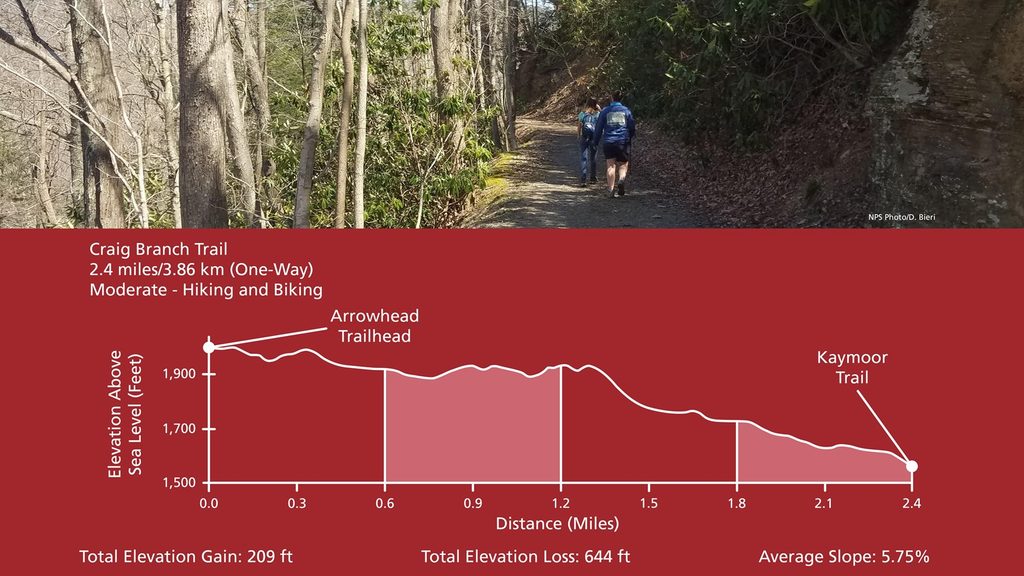 Craig Branch Trail, New River Gorge National Park