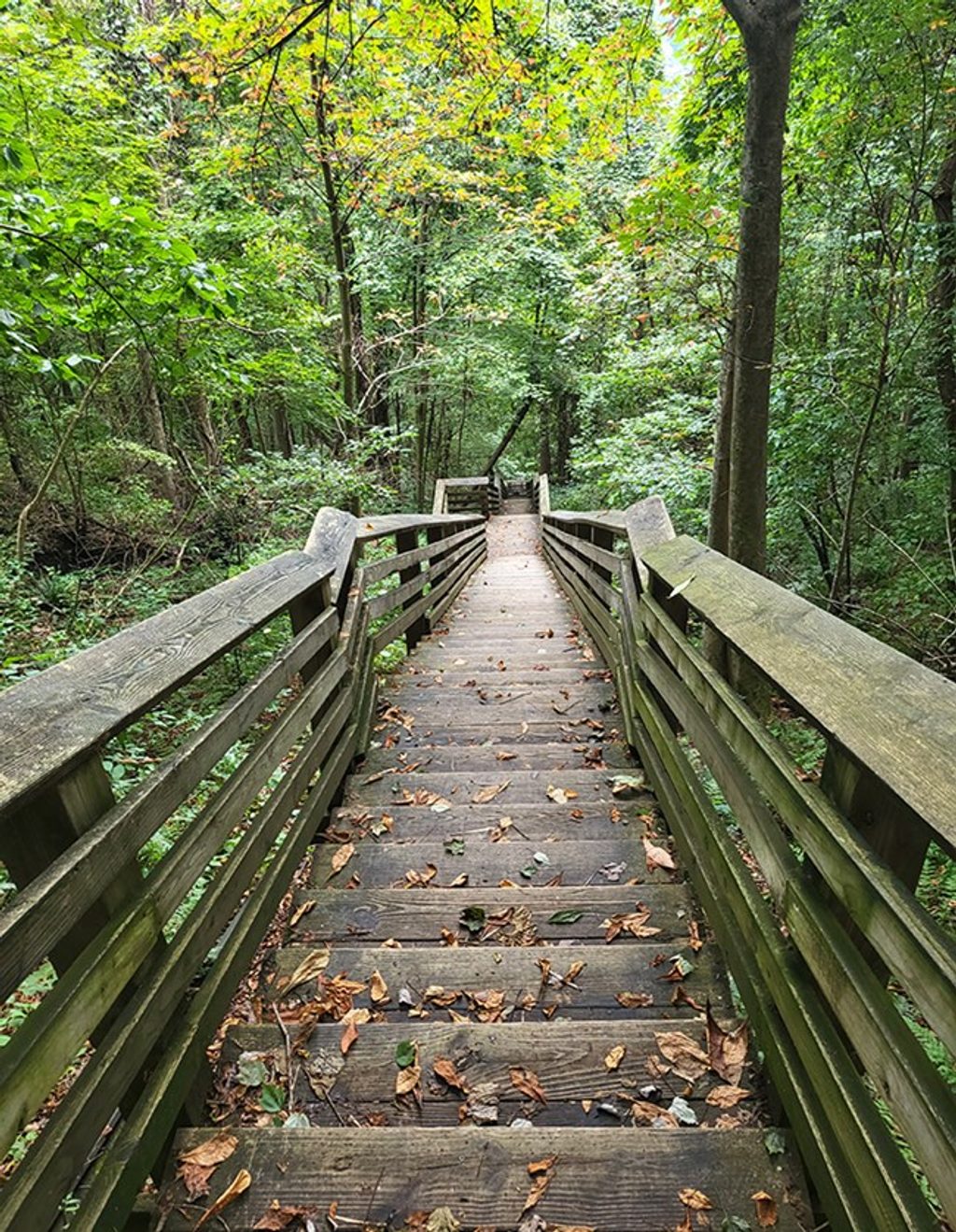 Kaymoor Miner's Trail, New River Gorge National Park