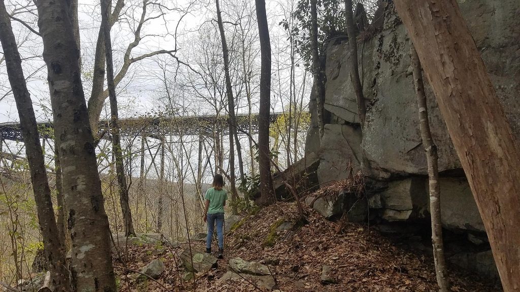 Bridge Trail, New River Gorge National Park