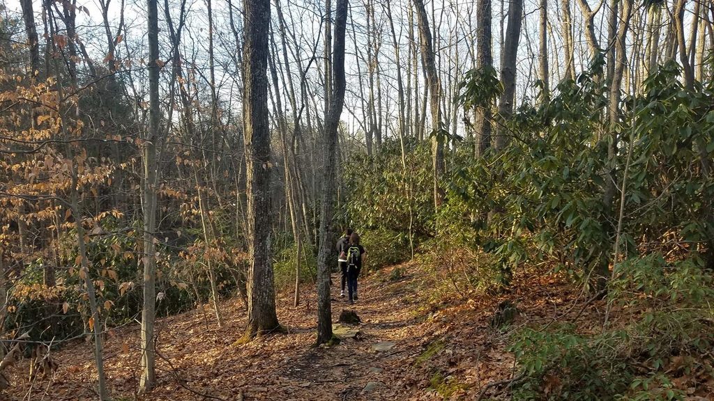 Butcher Branch Trail, New River Gorge National Park