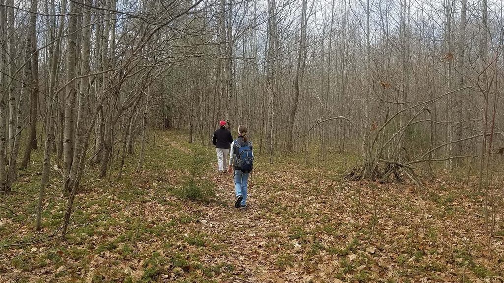 Polls Plateau Trail, New River Gorge National Park