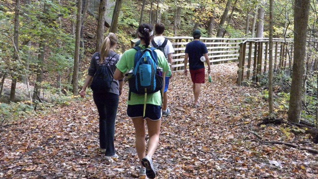 Keeneys Creek Trail, New River Gorge National Park