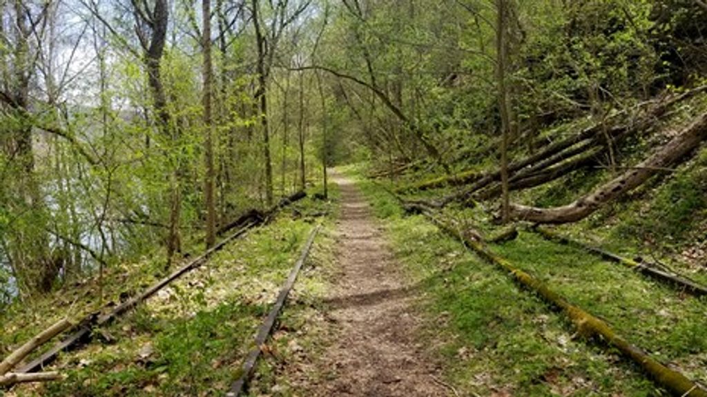 Southside Trail, New River Gorge National Park