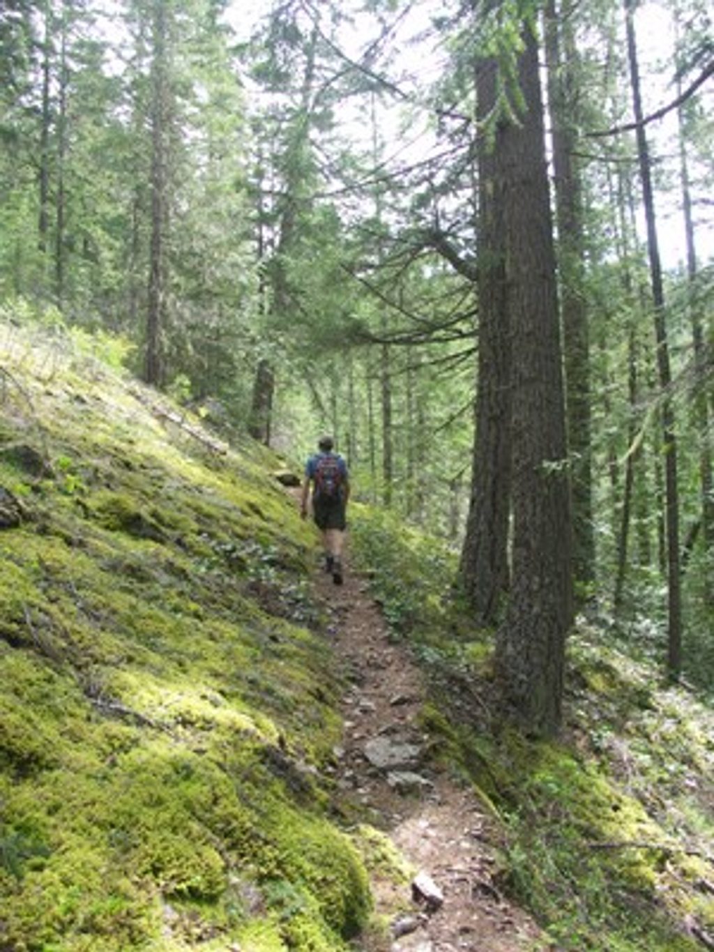 Fourth of July Pass Trail, North Cascades National Park