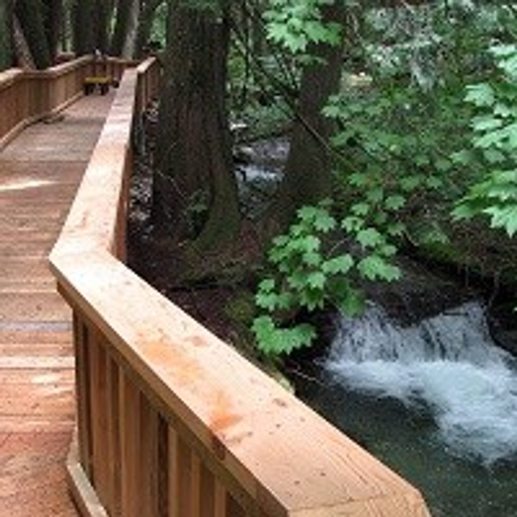 Happy Creek Forest Walk, North Cascades National Park