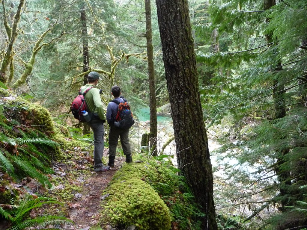 Stetattle Creek Trail, North Cascades National Park