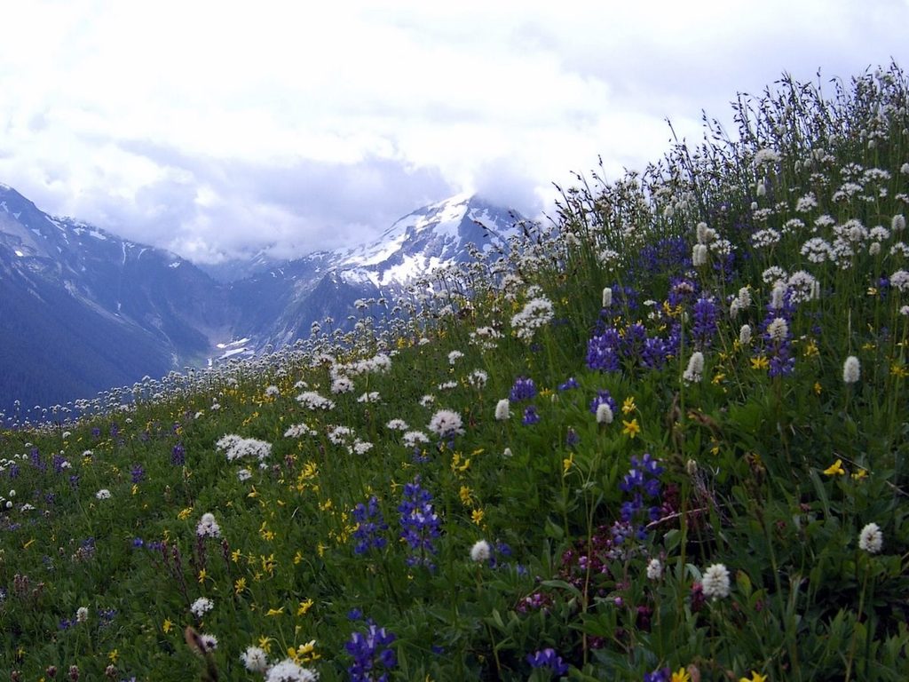 Copper Ridge Loop, North Cascades National Park
