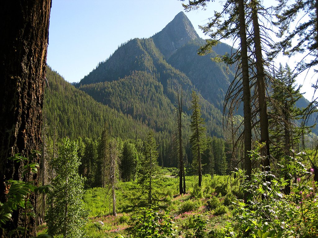 Flat Creek Trail, North Cascades National Park