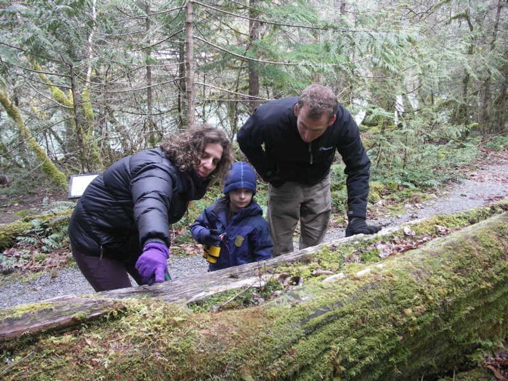Trail of the Cedars, North Cascades National Park