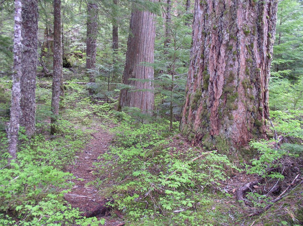 Pyramid Lake Trail, North Cascades National Park