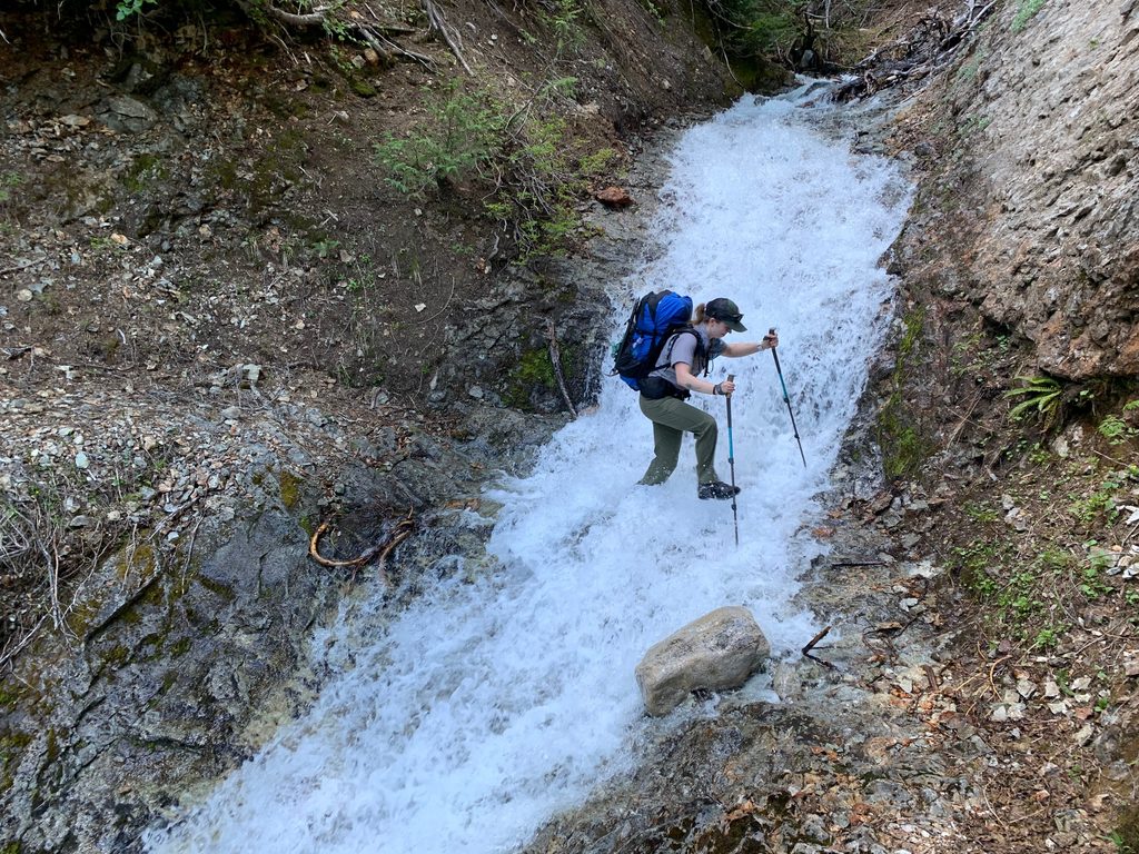 Chilliwack River Trail, North Cascades National Park