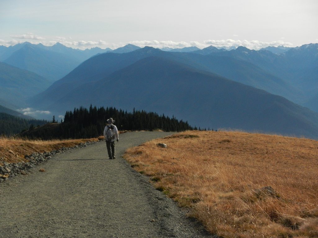 Hurricane Hill Trail, Olympic National Park