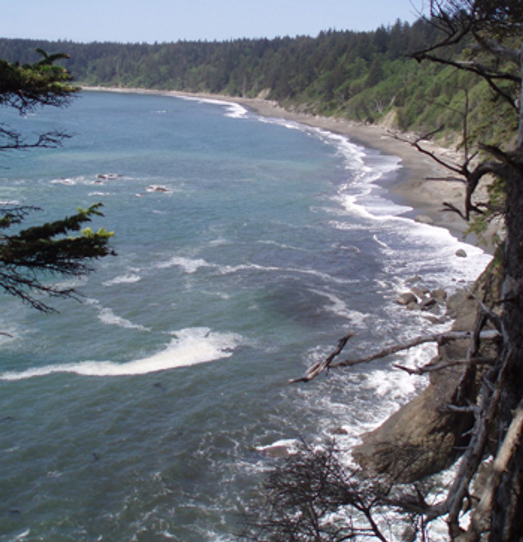 South Coast Wilderness Trail, Olympic National Park