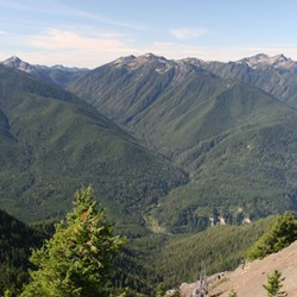Elwha to Hurricane Hill Trail, Olympic National Park