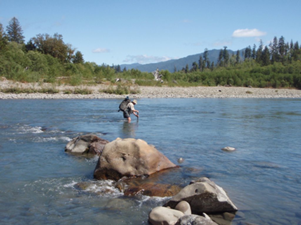 Queets River Trail, Olympic National Park