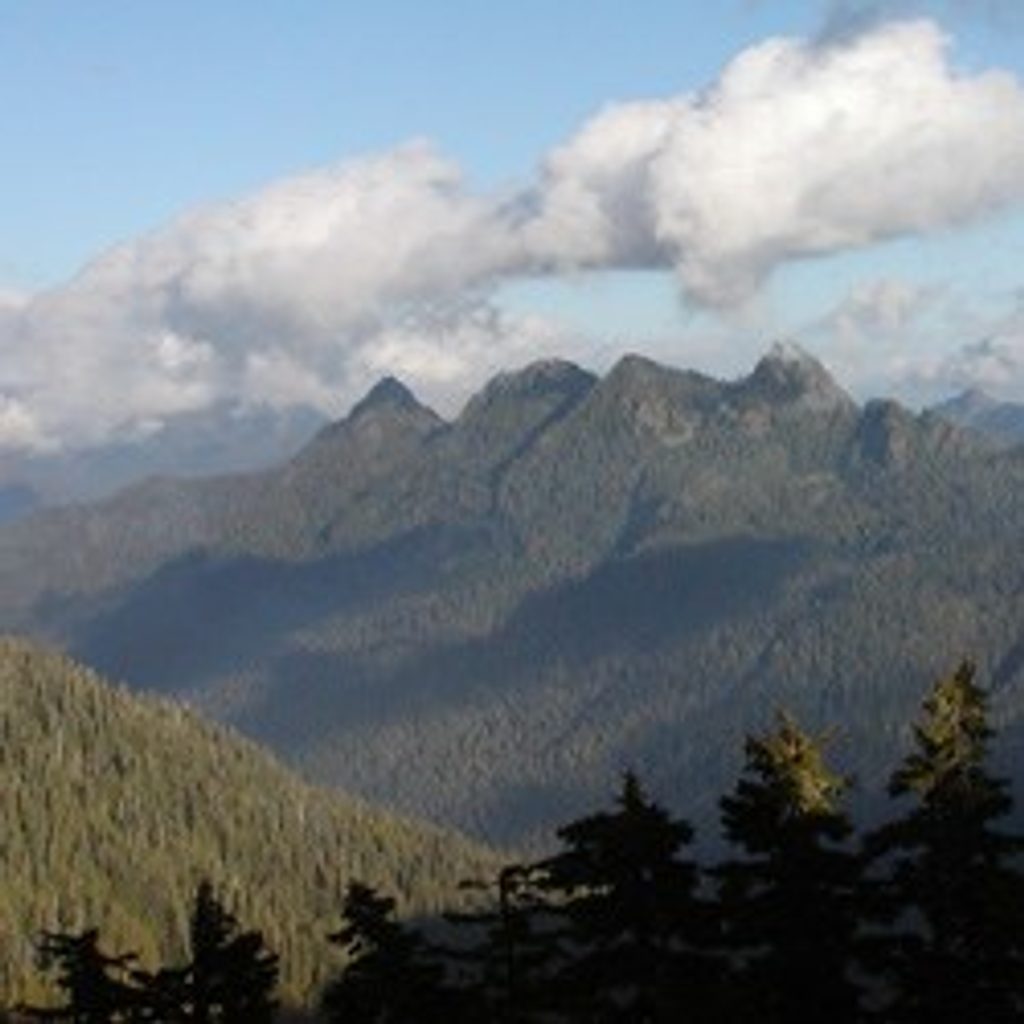 Six Ridge Trail, Olympic National Park