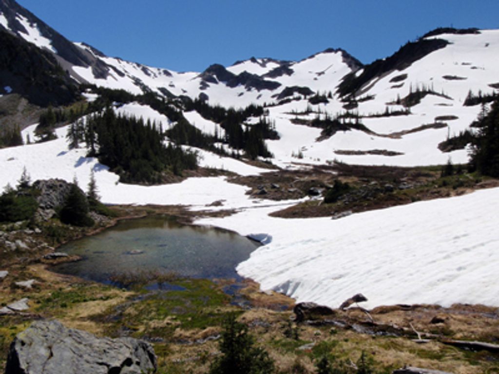 Grand Valley Trail, Olympic National Park