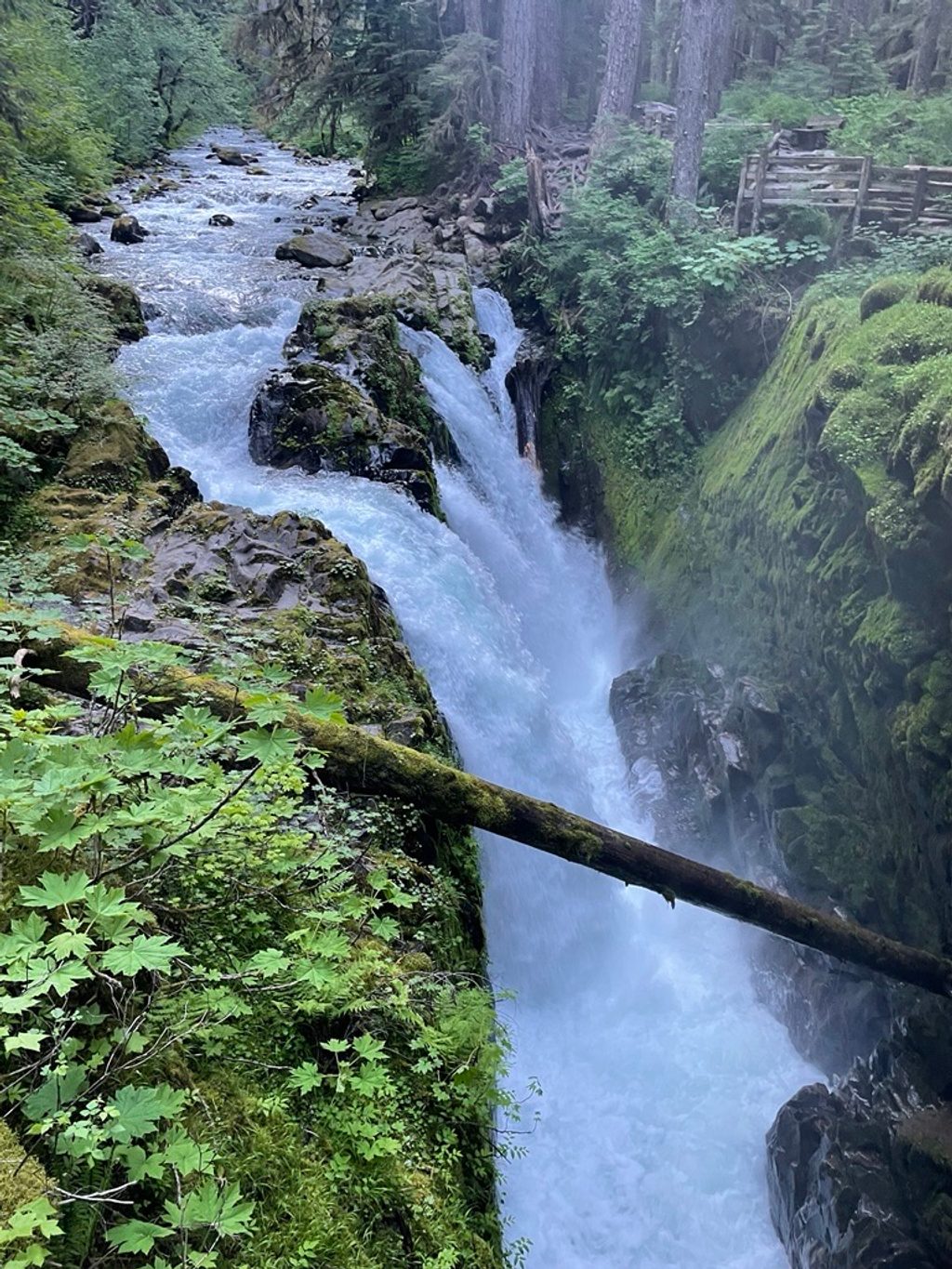 Sol Duc Falls Trail, Olympic National Park