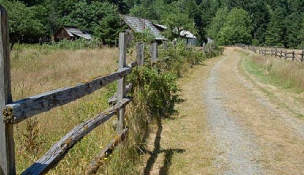 Kestner Homestead Trail, Olympic National Park